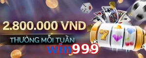 win999