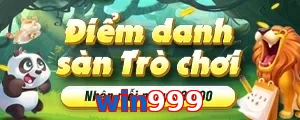 win999